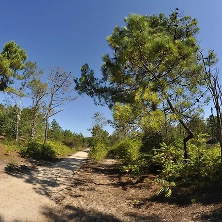 Appartement Moderne 2 Chambres, Vue Mer, Rénové, 5 Pers. - Fr-1-323-230 Saint-Jean-de-Monts