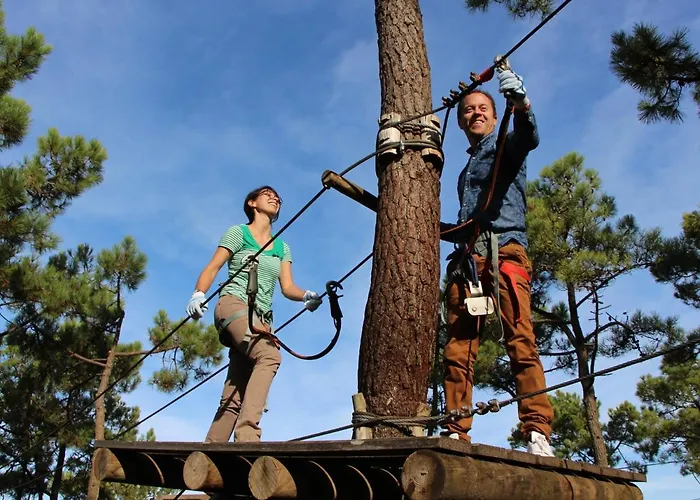 Moderne 2 Chambres, Vue Mer, Rénové, 5 Pers. - Fr-1-323-230 *