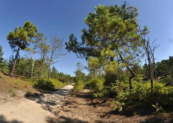 Appartement Moderne 2 Chambres, Vue Mer, Rénové, 5 Pers. - Fr-1-323-230 Saint-Jean-de-Monts